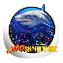 Slingo Shark Week slots