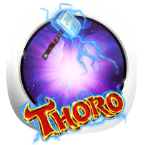 Thoro slots