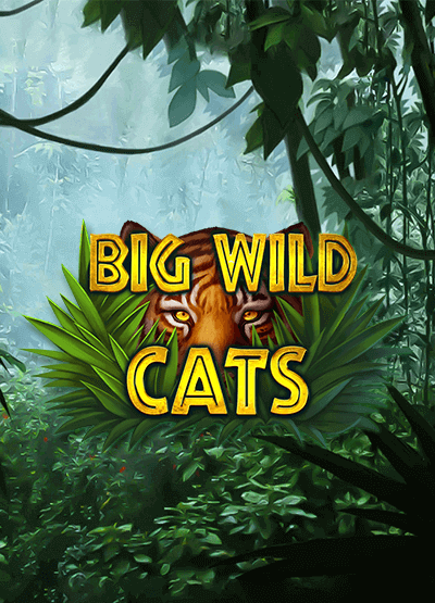 Big Wild Cats slots