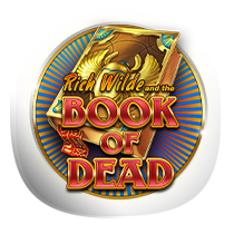 Book of Dead slots